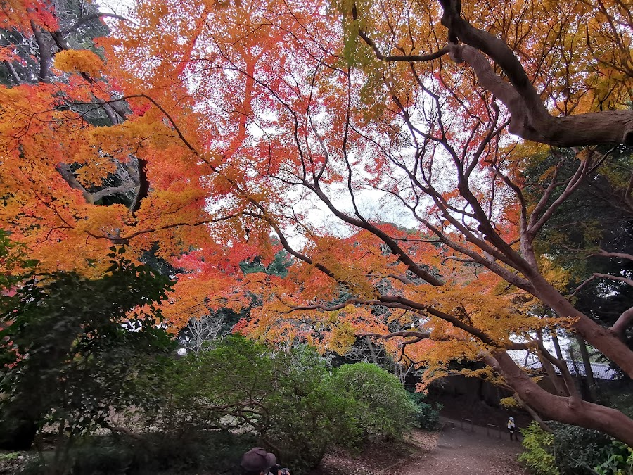 清水公園の写真