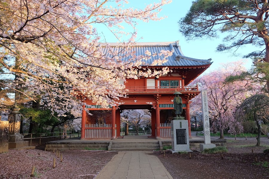 清水公園の写真