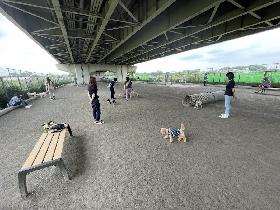 新見沼大橋スポーツ広場ドッグランの写真