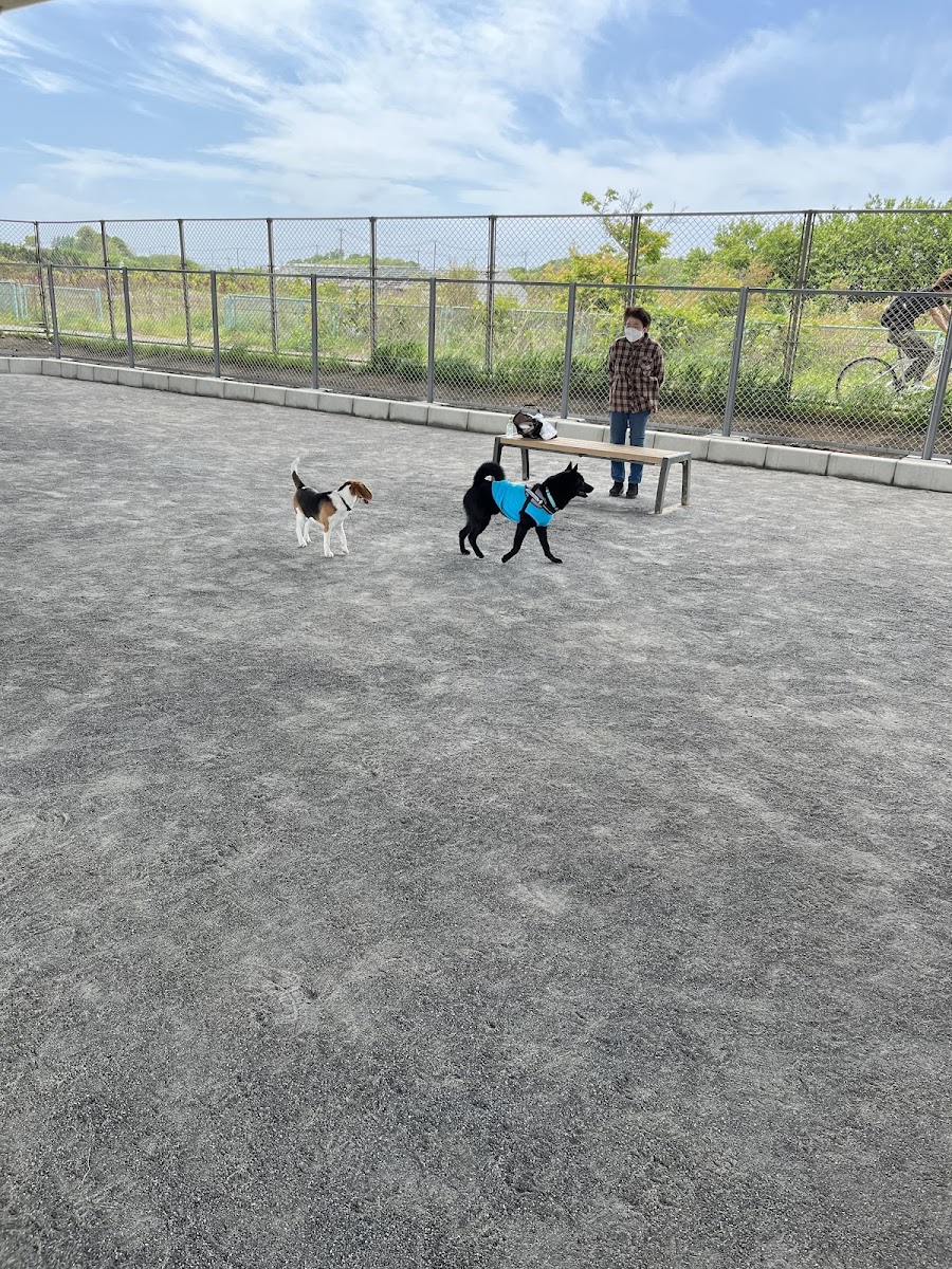 新見沼大橋スポーツ広場ドッグランの写真