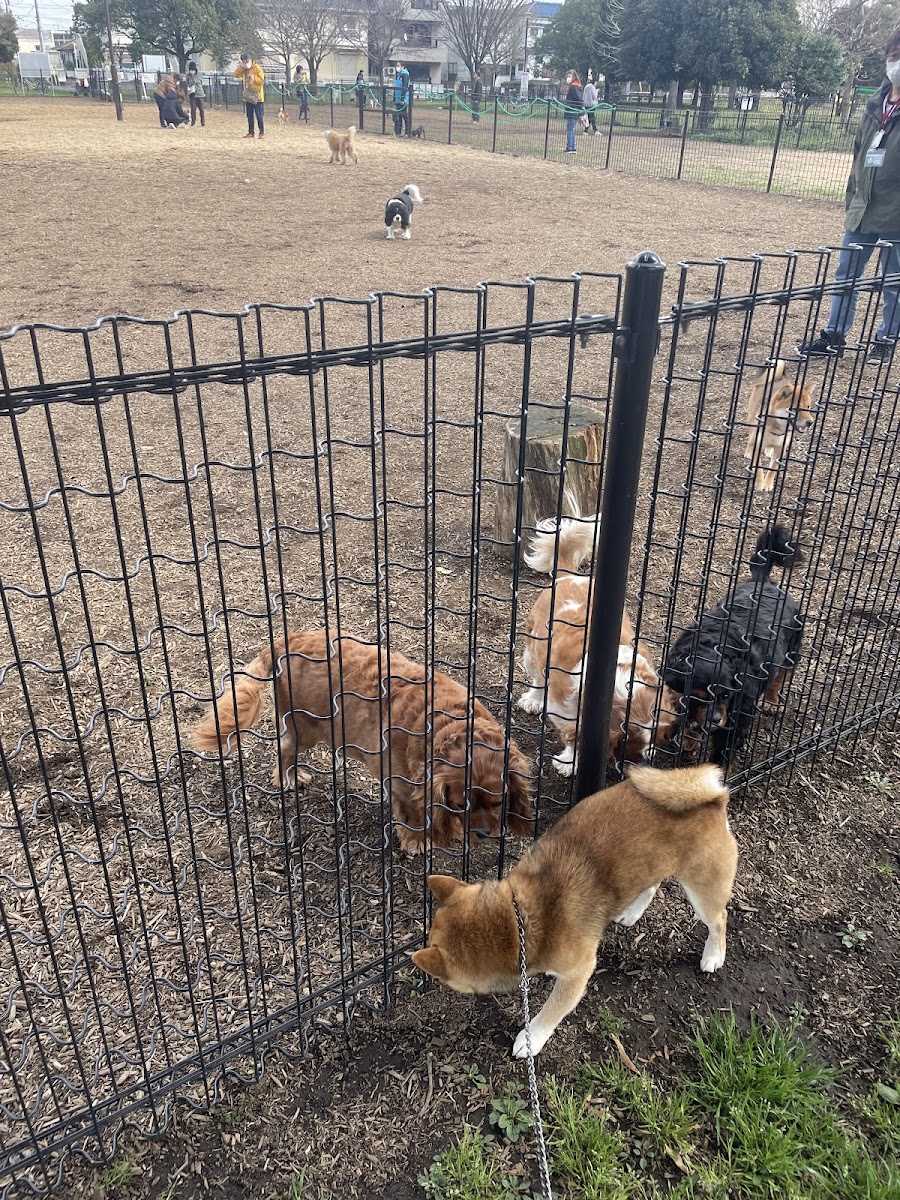 篠崎公園 ドッグランの写真