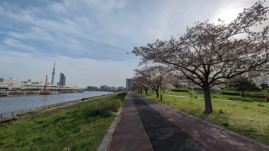 汐入公園の写真