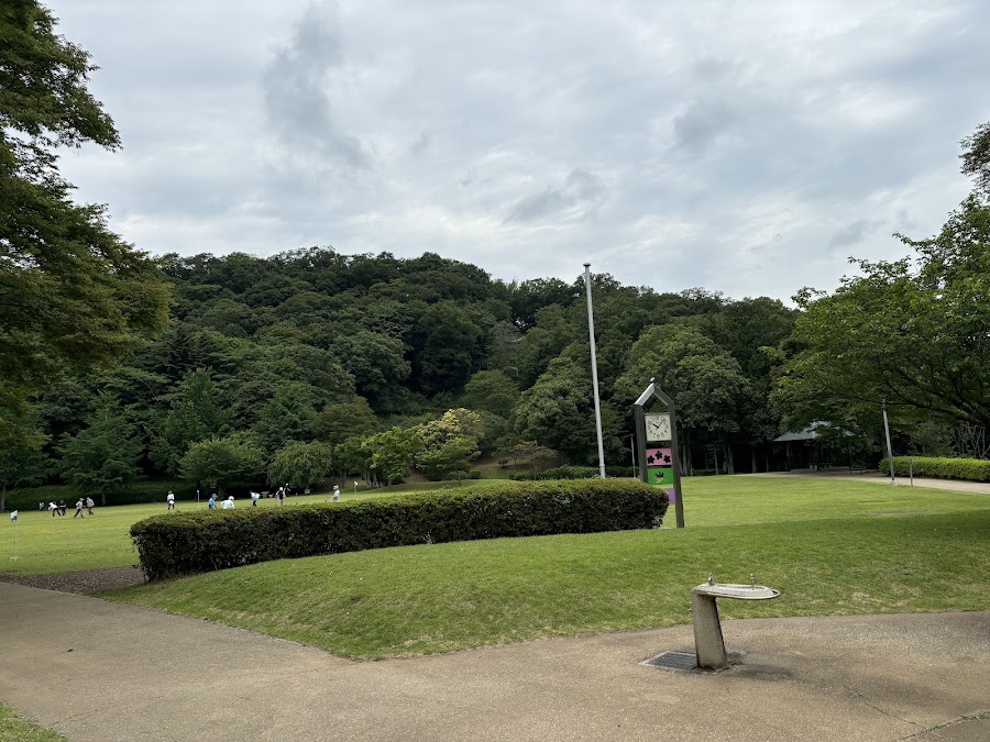 白尾山公園の写真