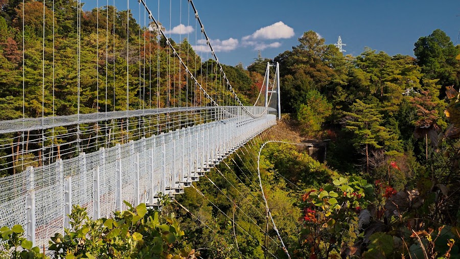 静岡県立森林公園の写真