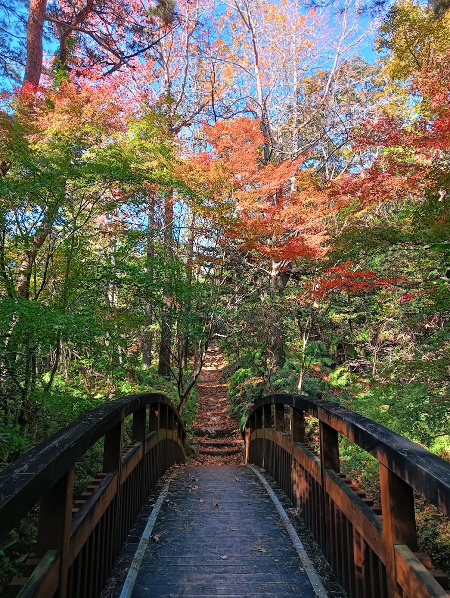 静岡県立森林公園の写真