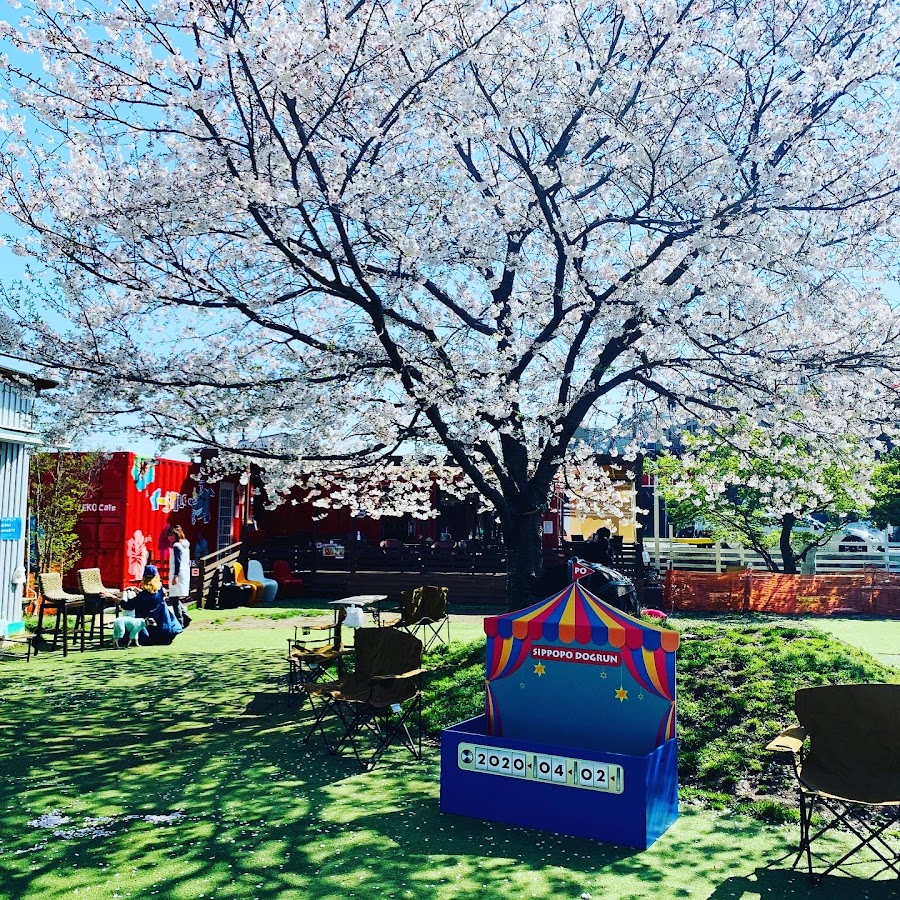 SIPPOPO DOGRUNの写真