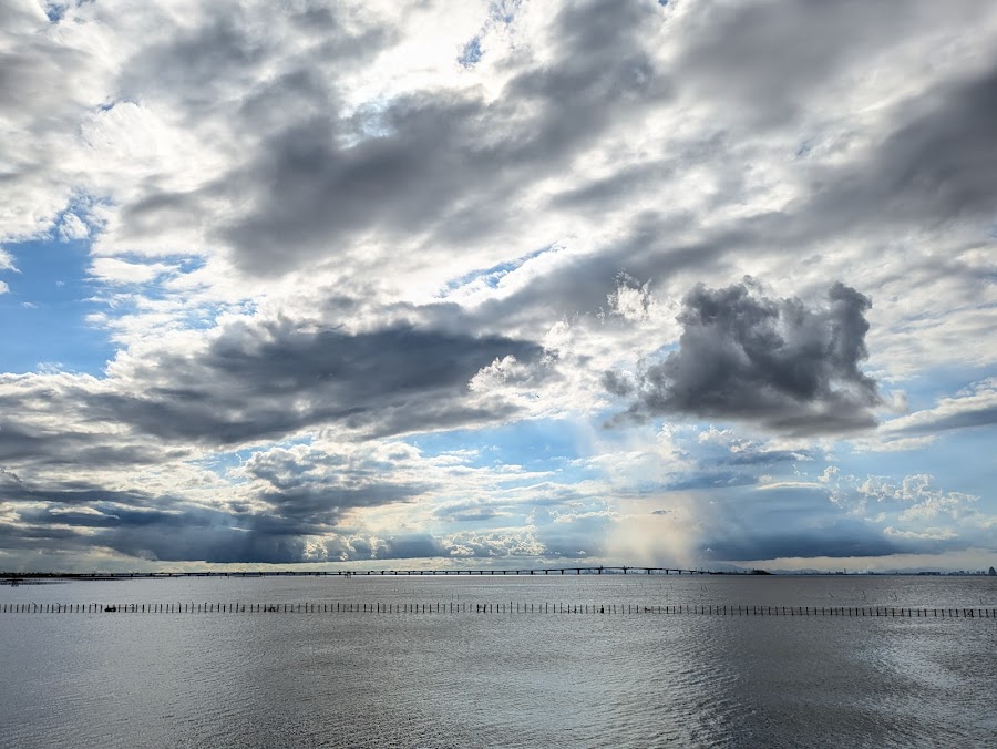 袖ケ浦海浜公園の写真