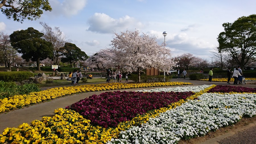 袖ケ浦公園の写真