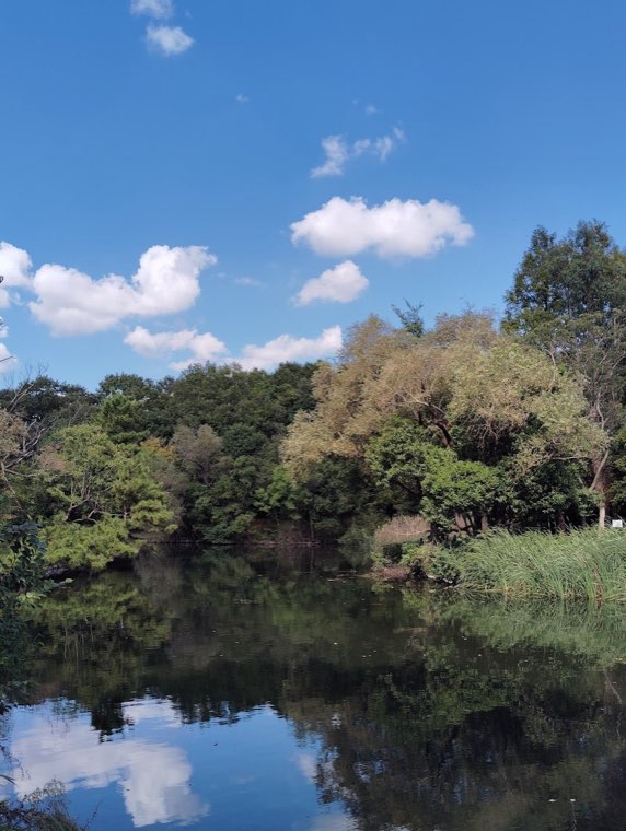 草加市ドッグラン広場(そうか公園)の写真