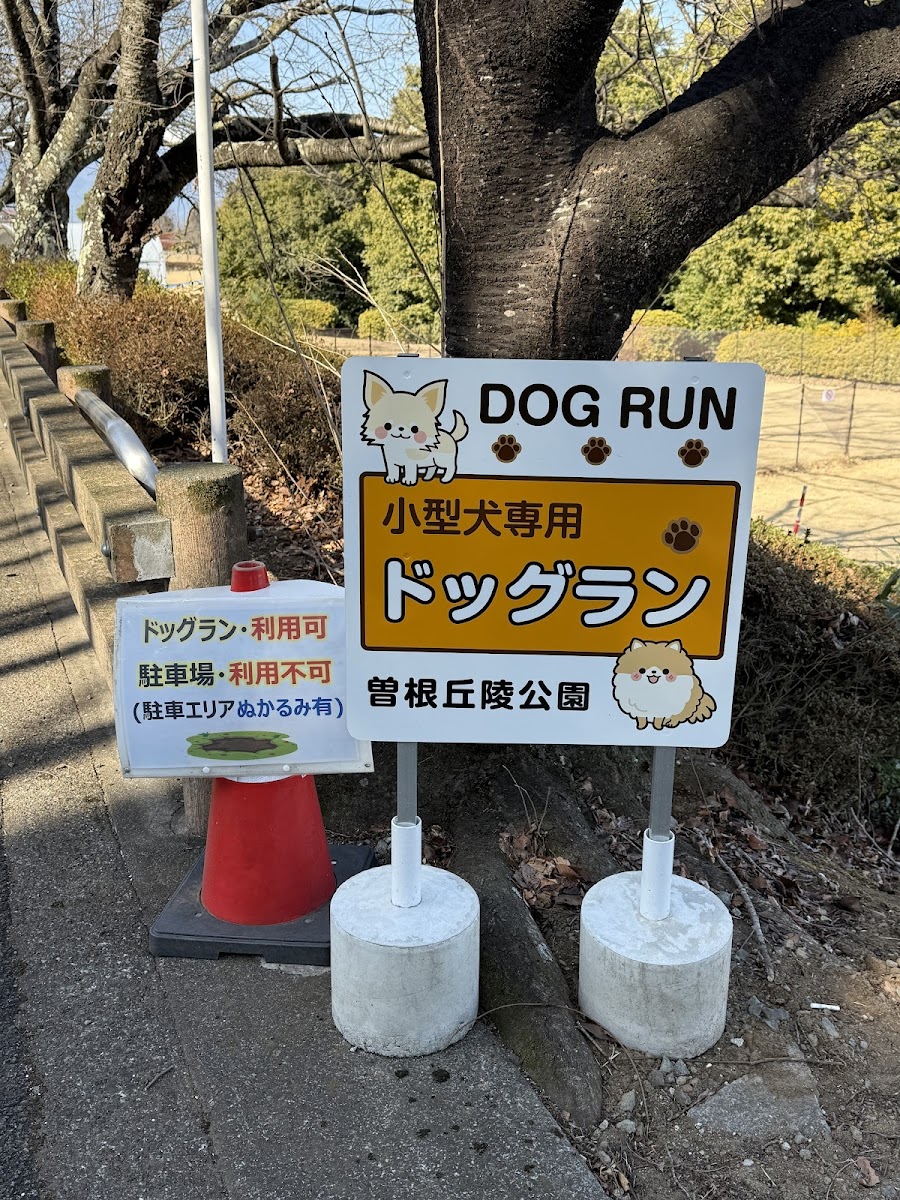 曽根丘陵公園 ドッグランの写真
