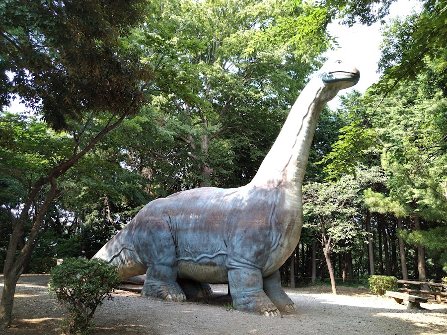 手賀の丘公園の写真