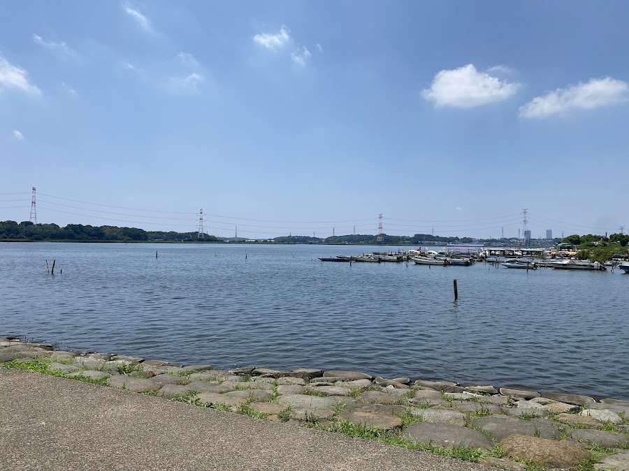 手賀沼公園の写真