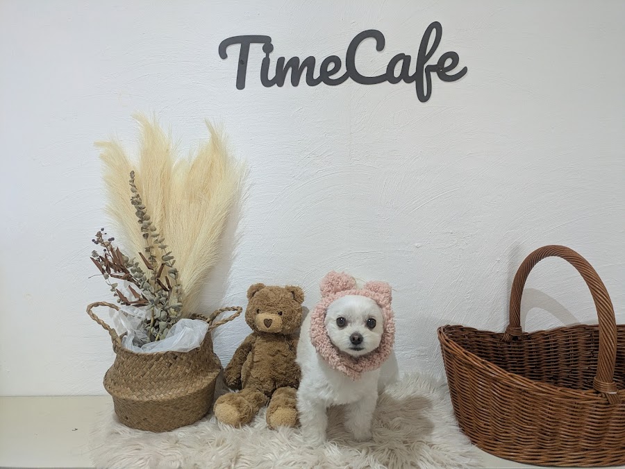 time cafe ドッグカフェの写真