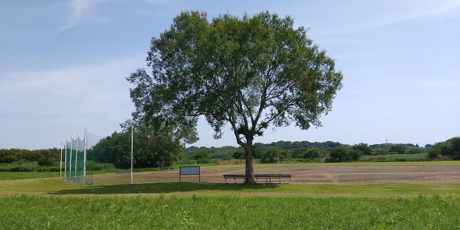 利根川ゆうゆう公園の写真