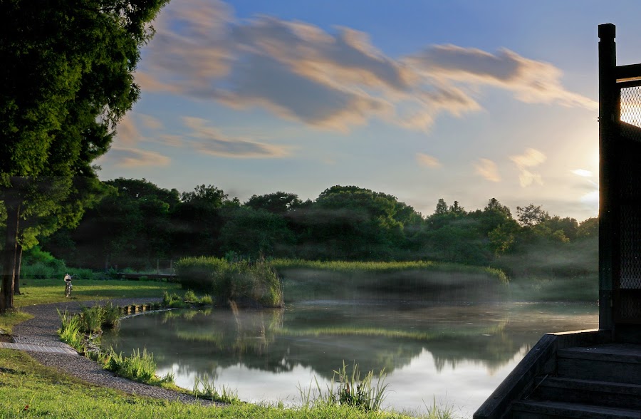 舎人公園の写真