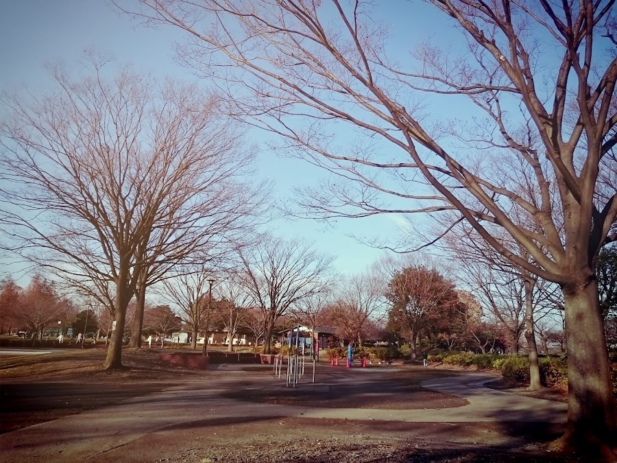 舎人公園の写真