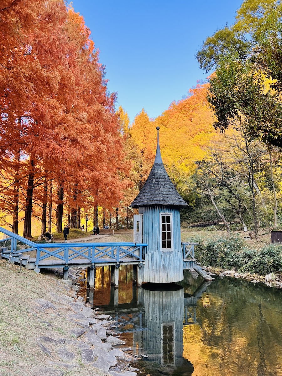 トーベ・ヤンソンあけぼの子どもの森公園の写真