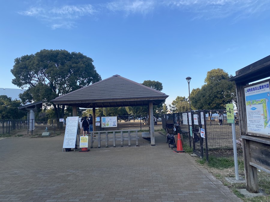 つばさドッグラン（城南島海浜公園）の写真