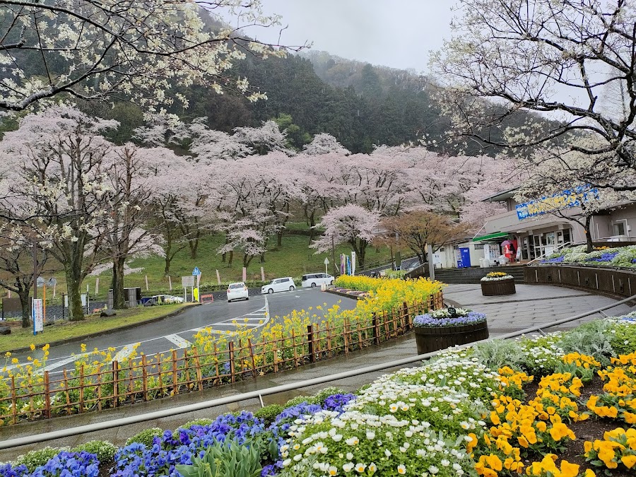 県立津久井湖城山公園の写真