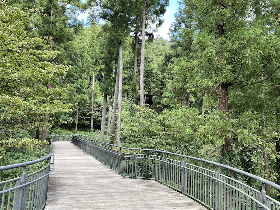 県立津久井湖城山公園の写真