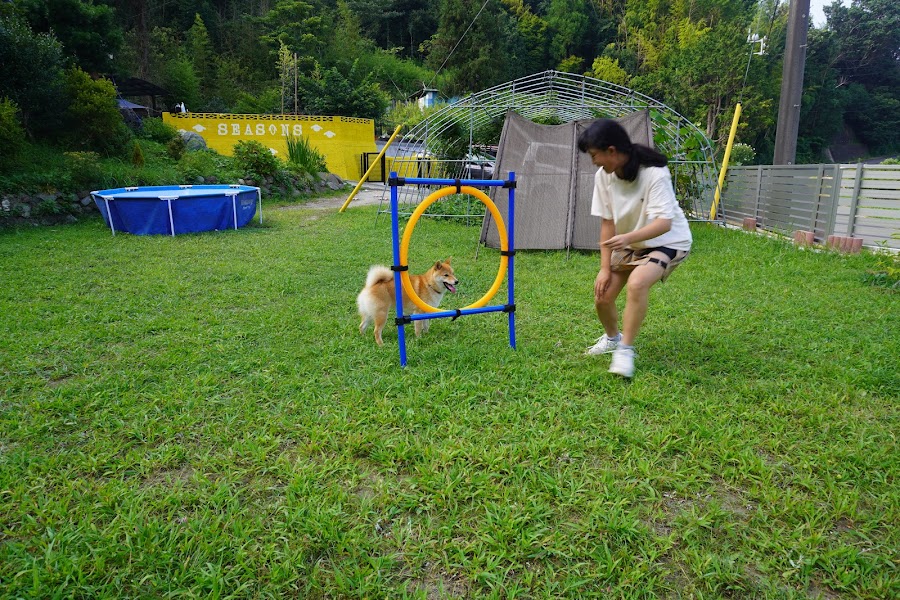 ワンコのお家 SEASONSの写真