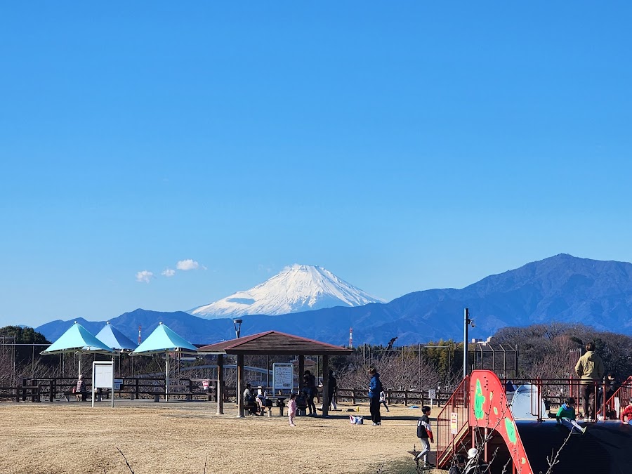 大和ゆとりの森の写真