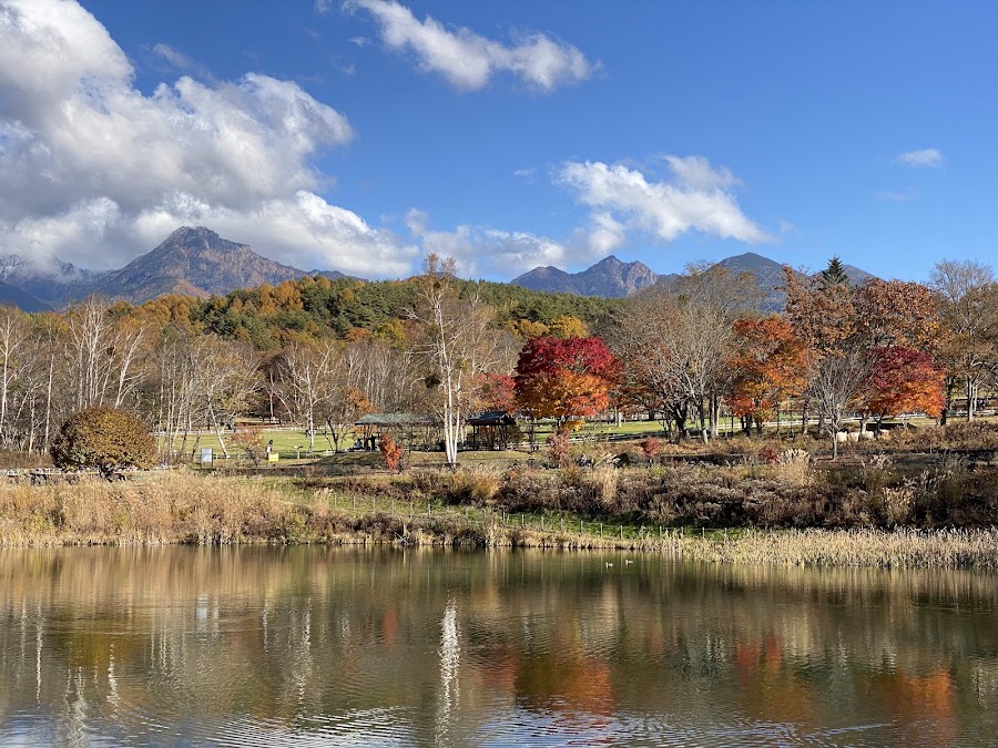 八ヶ岳自然文化園の写真