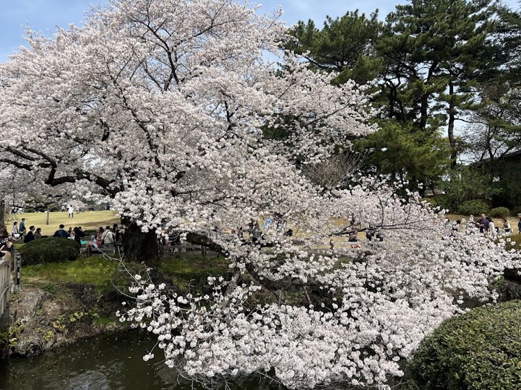代々木公園の写真
