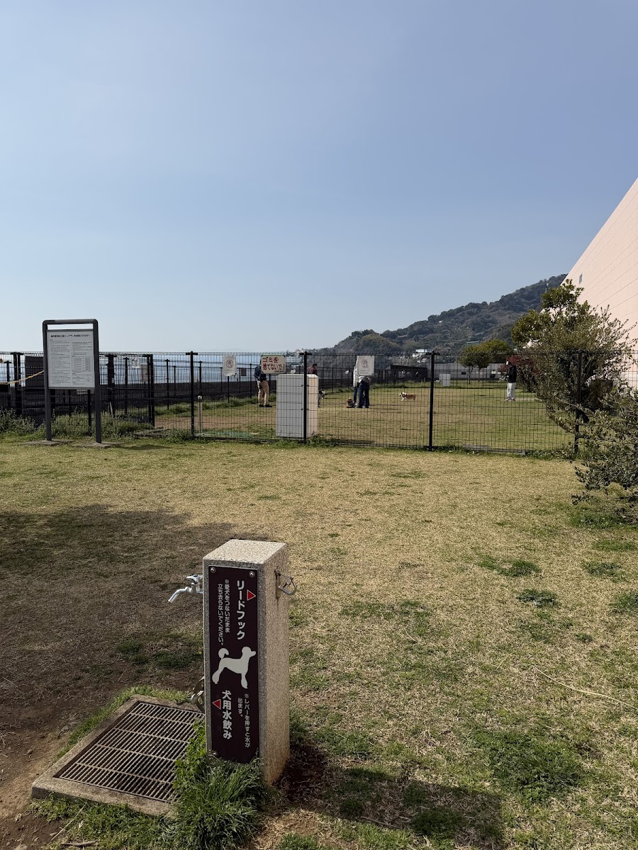湯河原海辺公園ドッグランの写真