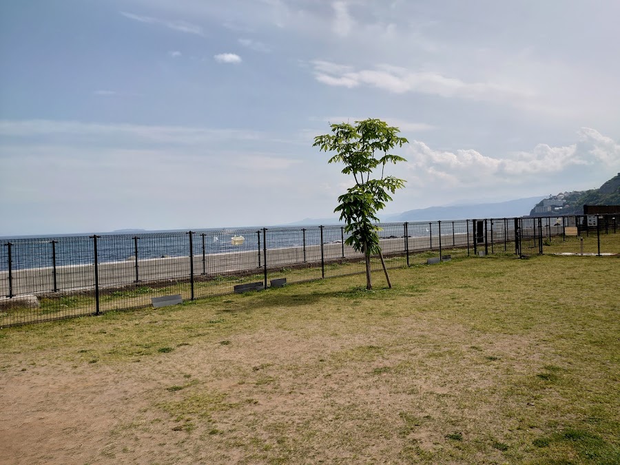 湯河原海辺公園ドッグランの写真