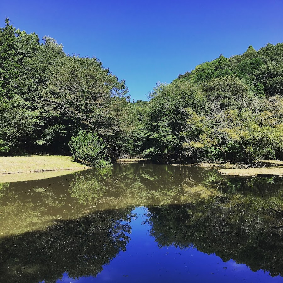 県立座間谷戸山公園の写真
