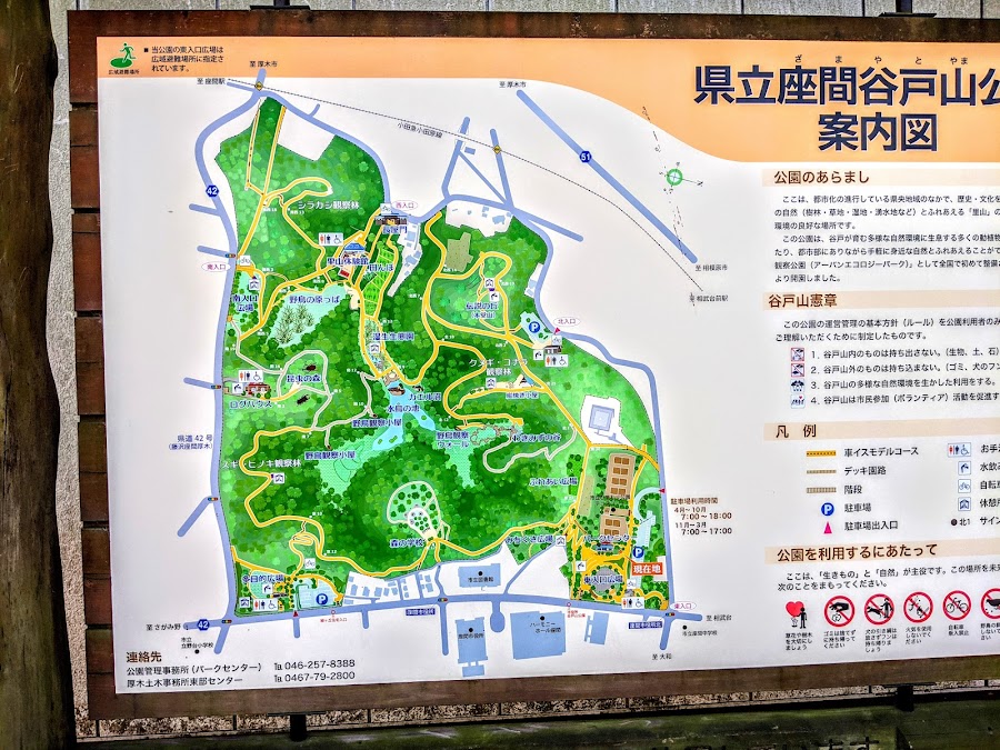 県立座間谷戸山公園の写真