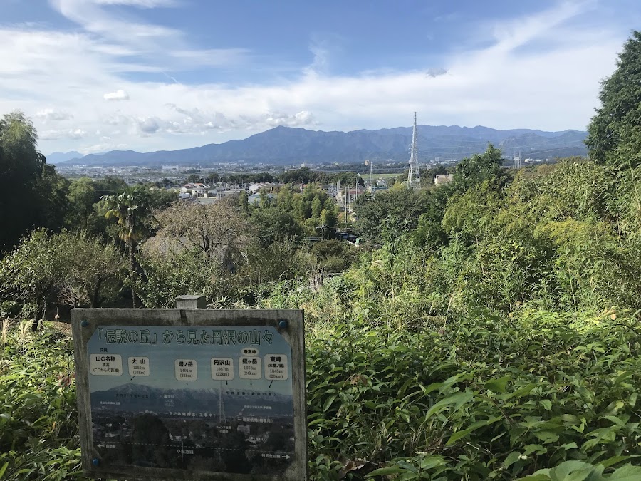 県立座間谷戸山公園の写真