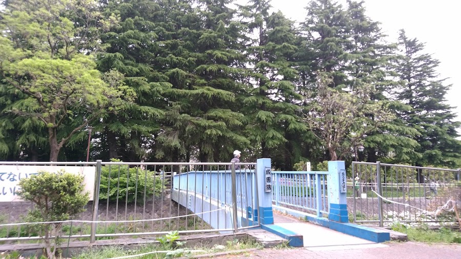 善福寺川緑地の写真